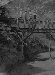 Water Flume, Camp Nelson, East of Porterville, Calif., 1920s