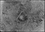Pit 10. Human cranium and femur in situ. (RLB-33)