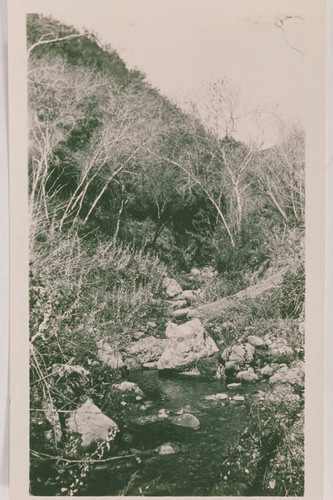 Creek in Temescal Canyon, Calif