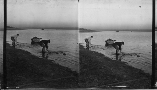 Fishermen pulling in the nets fishing for smelts on St. Lawrence River at St. Gregoire, P. of Quebec