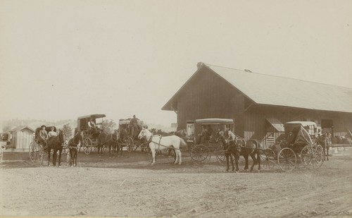Warehouse with horse and buggies in front