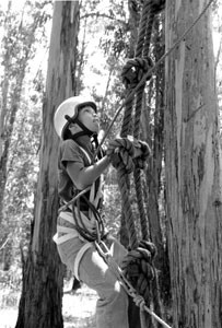 YMCA Boy Climbing Tree