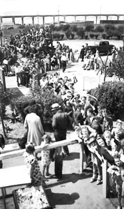 Baseball crowd