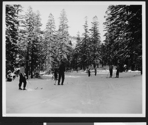 Seven skiers making their way through the snow-covered ground, in December 1941