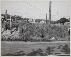 Intersection of Pepper Road and Hammel Lane, Petaluma, California, April 18, 1953