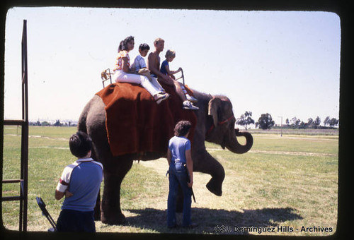 Elephant rides on Campus