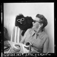 Lema Jean Butcher sitting in lounge chair with her sunglasses wearing poodle, Demi-Tasse, Alhambra, Calif., 1964