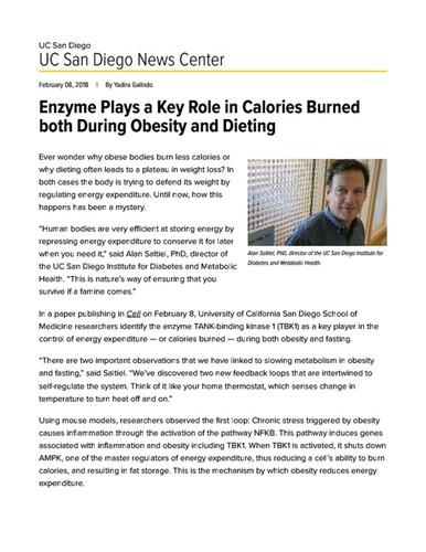 Enzyme Plays a Key Role in Calories Burned both During Obesity and Dieting