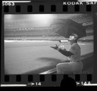 Baseball player Steve Garvey with umbrella, watching rain fall at Dodger Stadium, Los Angeles, 1976