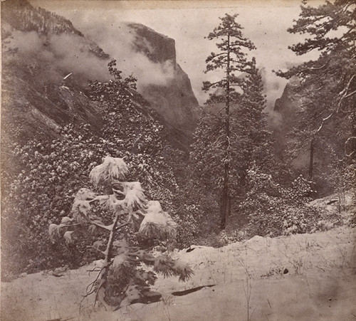 1669. General View of Yo-semite Valley after a Snow Storm