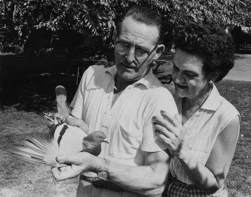Otto and Marion Winkelmann with homing pigeons