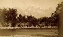 "Teton Mountains from Snake River"