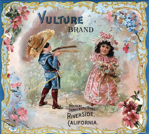 Crate label, "Vulture Brand." Packed by Sandilands Bros., Riverside, Calif