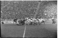 Football teams Santa Clara Broncos and Loyola Lions wait for the snap, Los Angeles, 1937