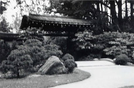 Walkway to an entrance lined with trees and bushes (Spencer Chan Family)