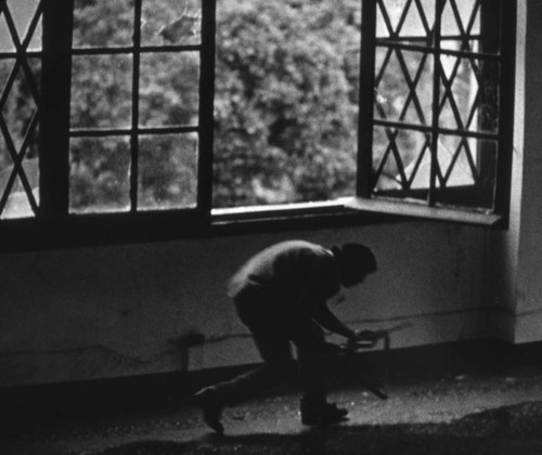 Sandinista near a window, 1979