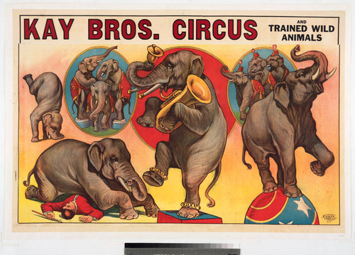 Kay Bros. Circus and trained wild animals