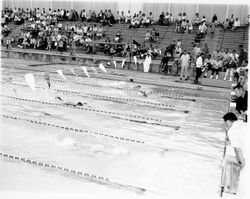 Swim meet at the Santa Rosa Swim Center, Santa Rosa, California, 1963