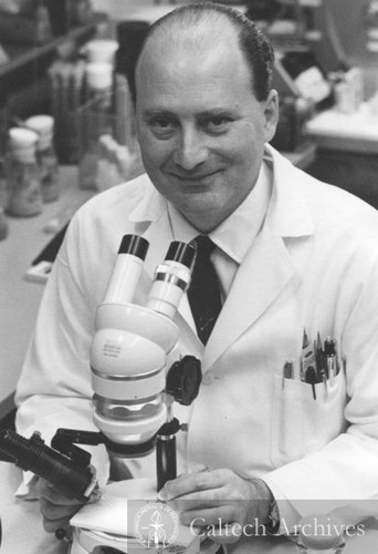 Seymour Benzer with microscope