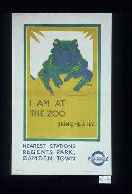 I am at the zoo, bring me a fly. The European tree frog. Nearest stations, Regents Park, Camden Town. Underground