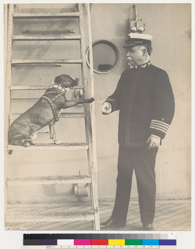 [Officer Charles Pond with ship dog on SS Oregon.]