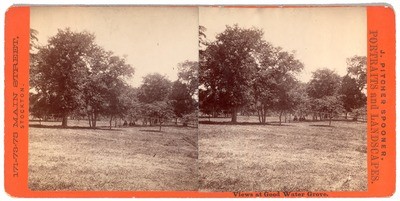 Stockton: "Views at Good Water Grove." (Showing picnic grounds.)