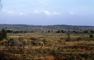 Houses at the savannah, Meiganga, Adamaoua, Cameroon, 1953-1968