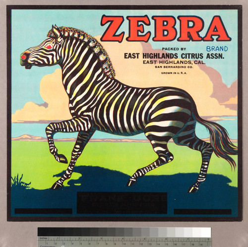 Zebra Brand