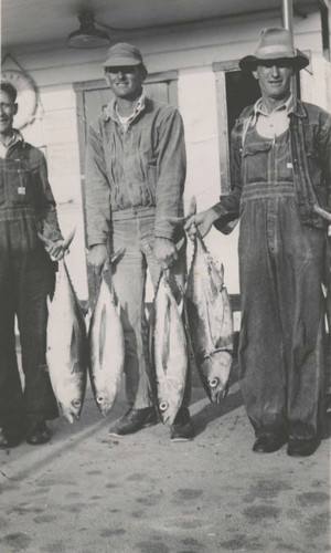Willie Hennig, Lawrence Hennig, and Sam Hennig holding fish at Newport Beach, 1940