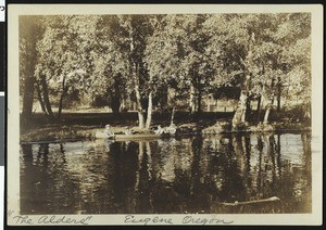 View of "The Alders" in Eugene, Oregon