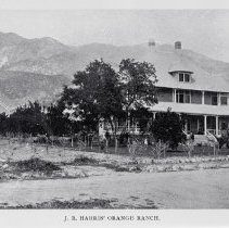 J.B. Harris' Orange Ranch, Mayflower & Banana