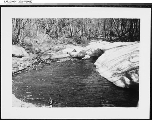 Snowy Leandro creek bank at Vermejo Ranch