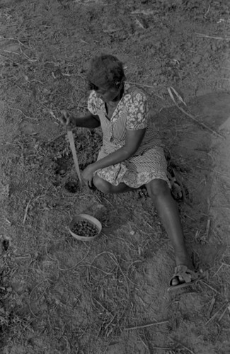 A woman planting peanuts, San Basilio de Palenque, 1977