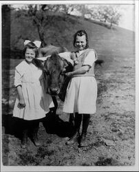 Two girls with a calf at the Lytton Home (the Salvation Army Boys and Girls Industrial Home and Farm in Lytton, California), Lytton, California, 1921
