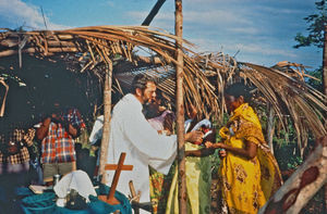 DMS' verdensbillede omfatter for tiden ca. 50 missionærer og volontører i 7 lande i verden. Deres aktuelle gøremål bestemmes af de lokale kirker. DMS sender efter deres ønsker præster, lærere, læger, sygeplejersker og teknikere ud til at arbejde tæt sammen med kirkens egne folk. 1997
