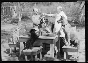 Publicity at Hollywood dog training school, Southern California, 1935