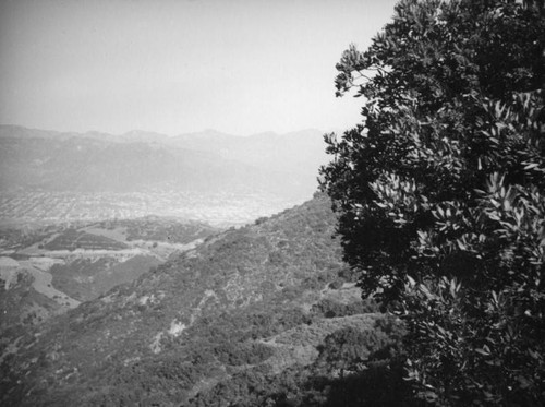 Vista on a Hollywoodland hike