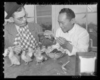 Los Angeles Times' roving misfit Abercrombie, eating Pidan century-old duck egg in Los Angeles' Chinatown, 1946