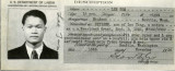 [Certificate of Identity], Lee Tom, November 13, 1946