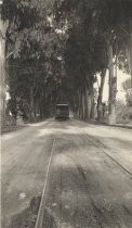 Lincoln Avenue streetcar in Willow Glen