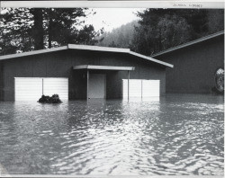 School library during the flood at Monte Rio School in Monte Rio, California, February 14, 1986