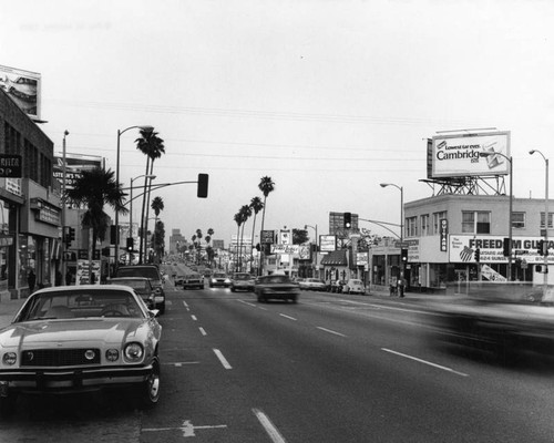 Sunset Boulevard at Gardner