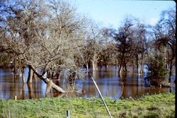Laguna de Santa Rosa flood plain under water at the eastern edge of Sebastopol, California, 1970s