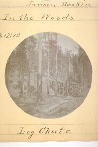 Log Chute