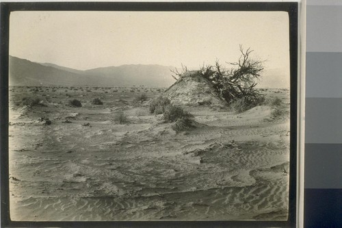 [No Caption: Death Valley]