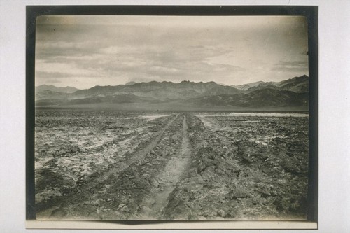 The road at the entrance of the Devils Golf Course