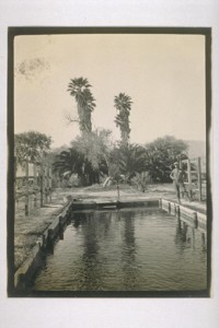 The Swimming Pool Furnace Creek Ranch
