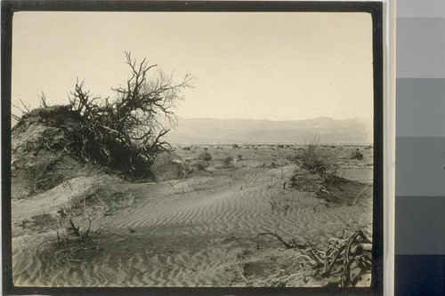 In the sand swept desert