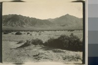 A Desert Scene