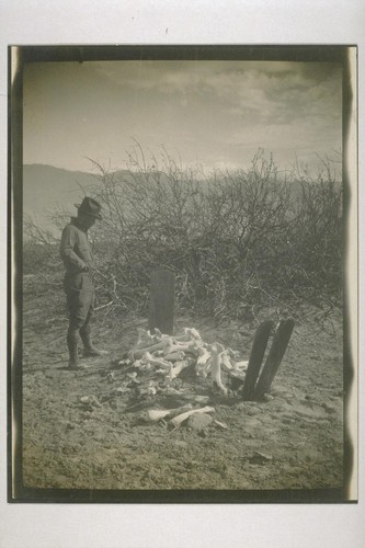 The grave of James Dayton; A driver of a twenty mule team Borax wagon